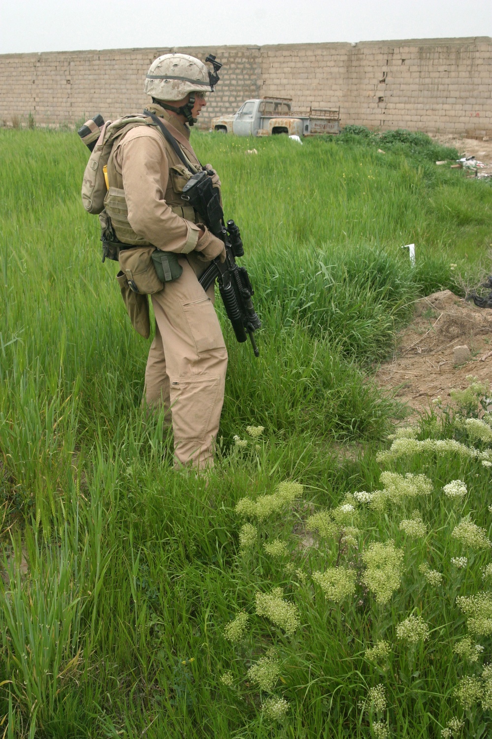 Operation Zaidon II