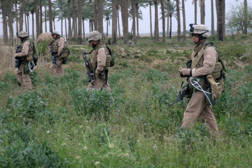 Operation Zaidon II