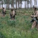 Operation Zaidon II