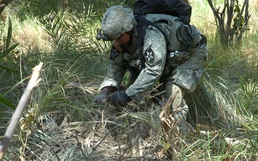 Soldiers search outskirts of Diwaniyah for militia activity