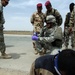 Operation Black Eagle