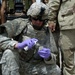 Operation Black Eagle