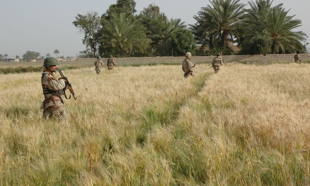 Coalition forces begin clearing outskirts of Baquba