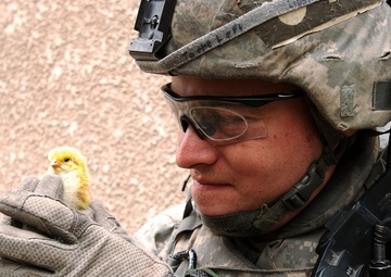 &quot;Army Chicks&quot;