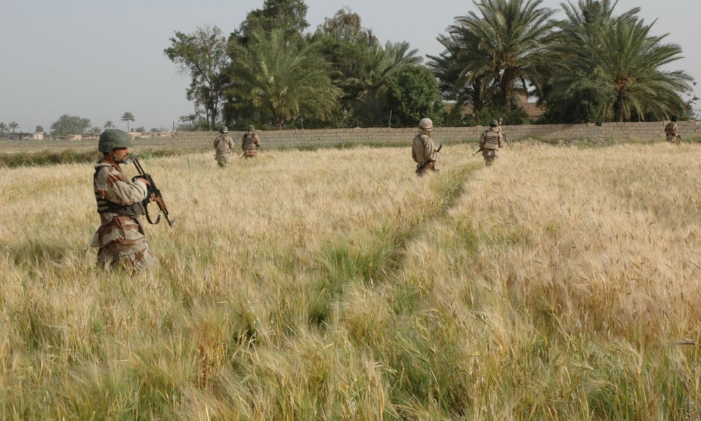 Coalition Forces Clear Outskirts of Baqubah