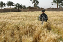 Coalition Forces Clear Outskirts of Baqubah