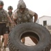 Paratroopers take part in combat athlete competition