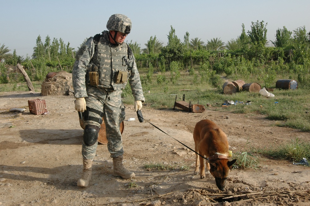 Working dogs bring bite to the fight