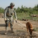 Working dogs bring bite to the fight