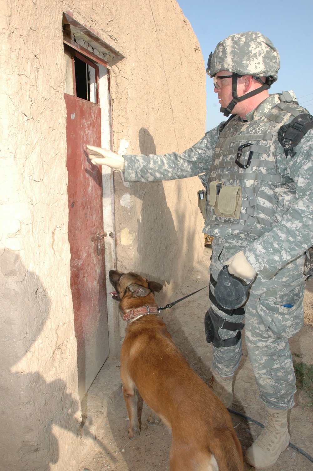 Working Dogs Bring Bite to the Fight