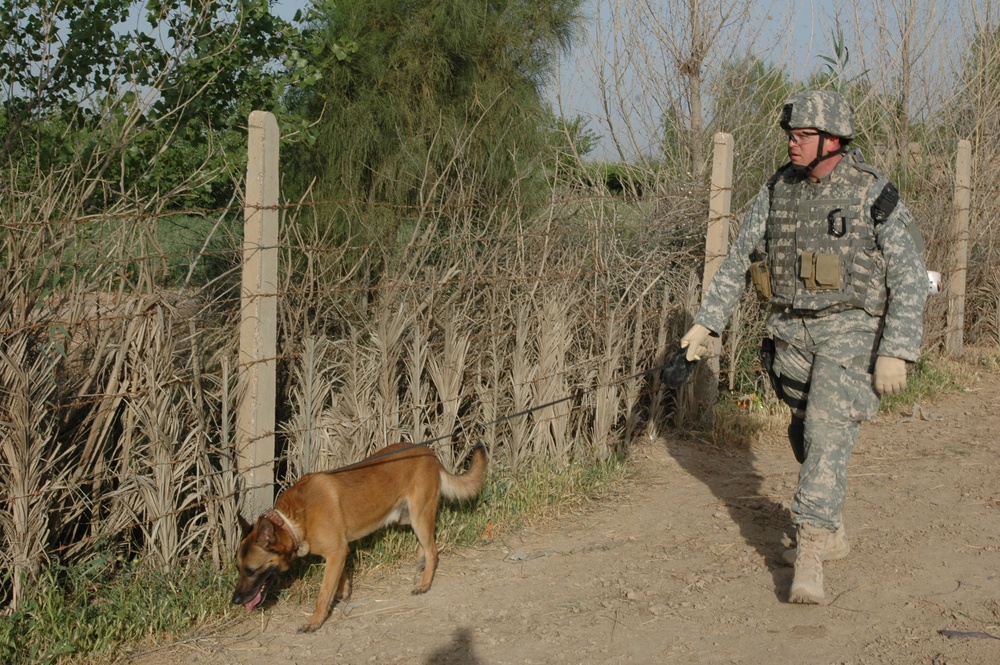Working dogs bring bite to the fight