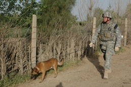 Working dogs bring bite to the fight