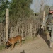 Working dogs bring bite to the fight