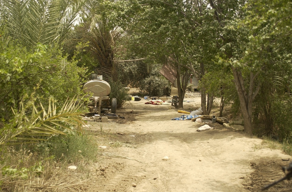 IA, CF discover 41 individuals at suspected prison camp