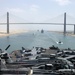 Naval Ships Move Down Suez Canal