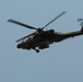 'Cover Two' Defense: Cavalry aviators thwart simultaneous att