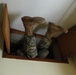 Tight Squeeze