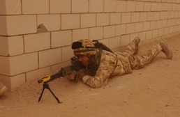 Camp Buehring Training