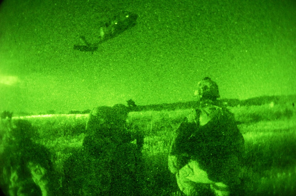 IED emplacers detained during Operation Peregrine II