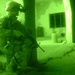 IED emplacers detained during Operation Peregrine II