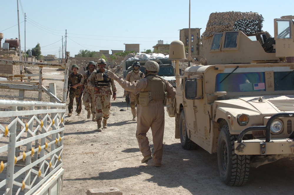 2nd Marine Division in Al Fallujah
