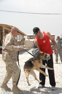UFC Fighters Visit Service Members in Afghanistan