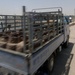 Mission in Support of Operation Iraqi Freedom