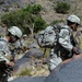 Operation Maiwand