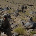 Operation Maiwand