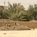 Marines Work With Iraqi Police