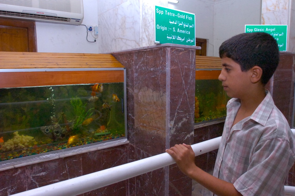 Baghdad Zoo Reopens Aquarium