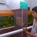 Baghdad Zoo Reopens Aquarium