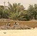 Joint operations with the Iraqi Police