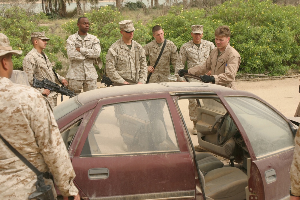 Learning About IEDs