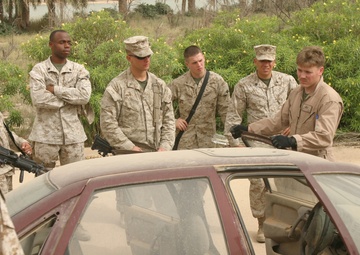 Learning About IEDs