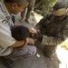 Operation Marne Touch