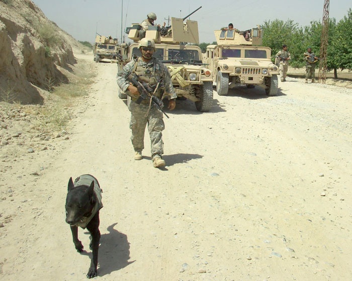 Soldiers Investigate Possible IED