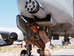 Thunderbolt Pre-Flight Inspection