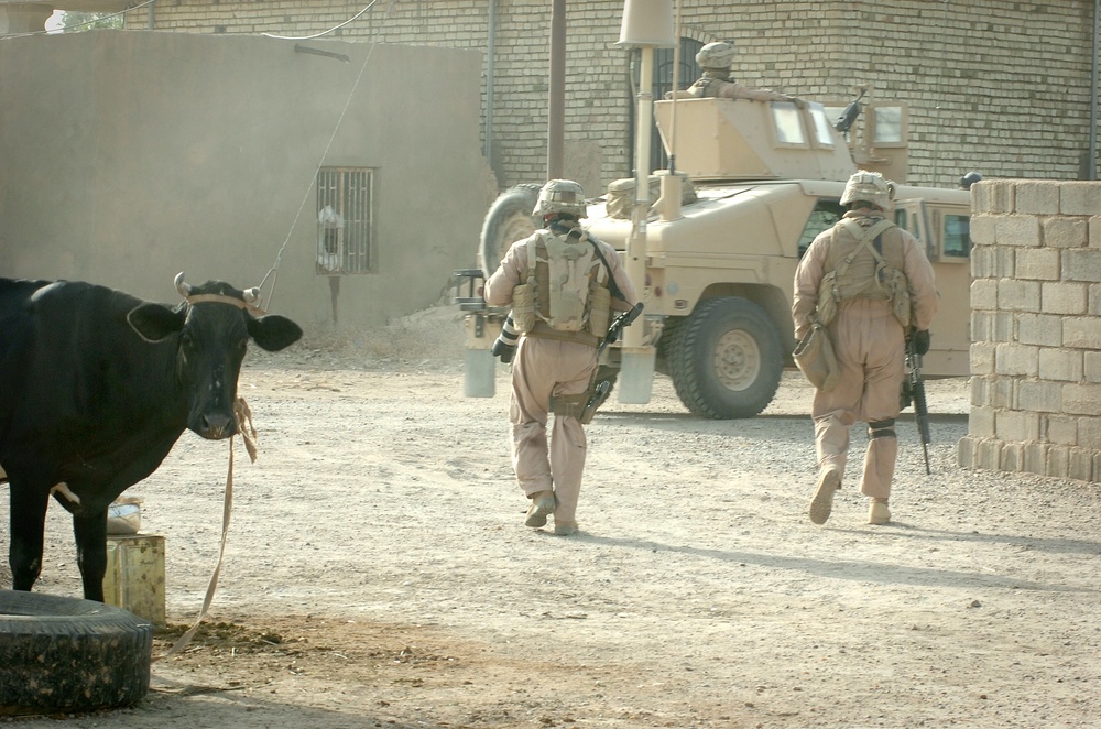 Marines Patrol Al Fayil, Meet Sheik