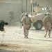 Marines Patrol Al Fayil, Meet Sheik