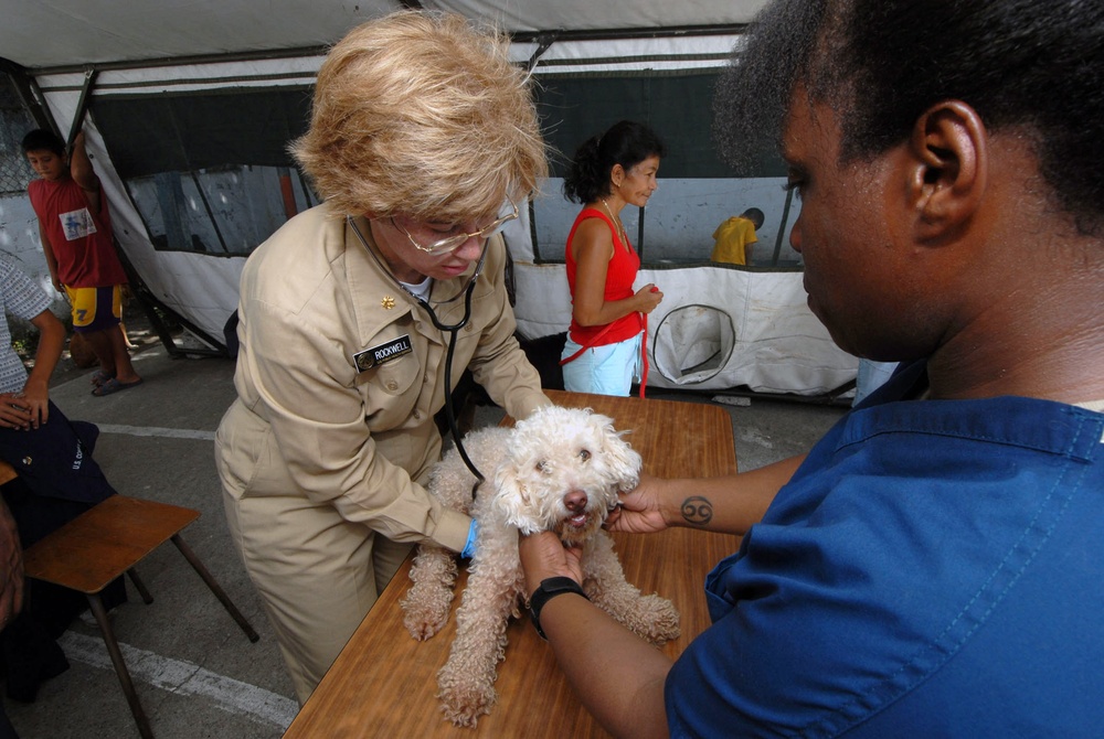 Military Sealift Command hospital ship