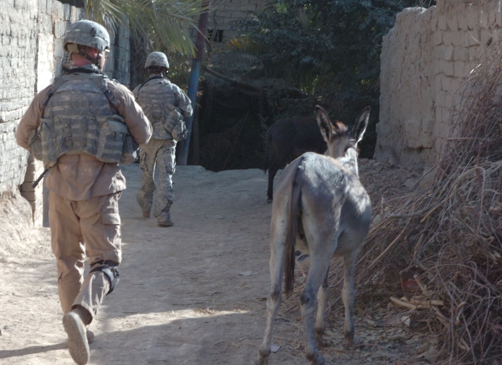 Operation Lightning Hammer Clears Diyala River Valley