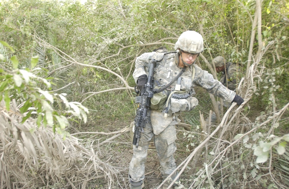 Operation Pericles Aims to Eliminate Al-Qaida Presence