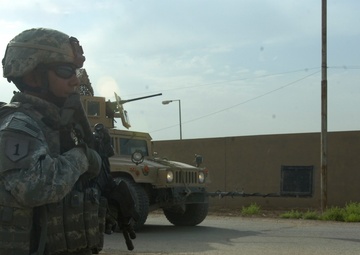 Linguists Bridge the Cultural Gap