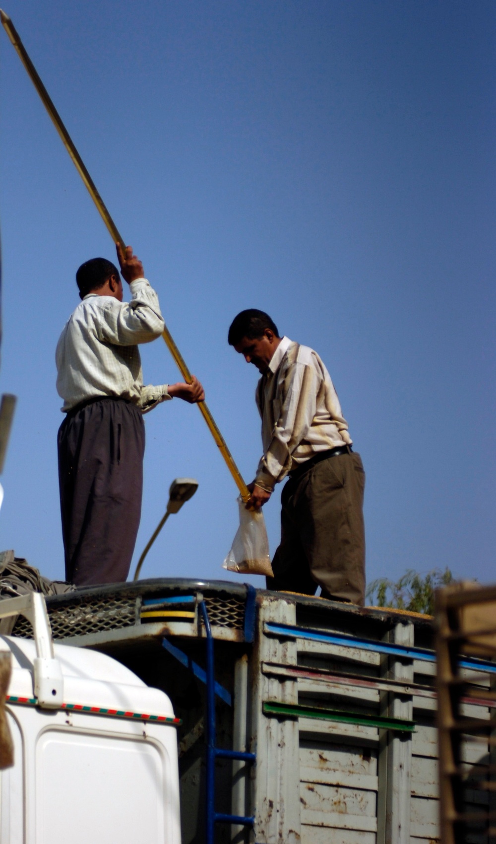 Baqubah Produces Own Food