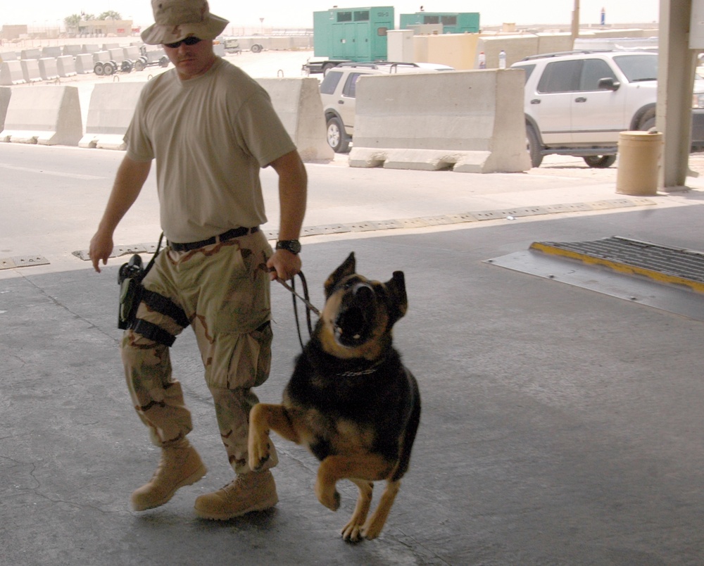 Military working dog and handler prepare to search vehicles