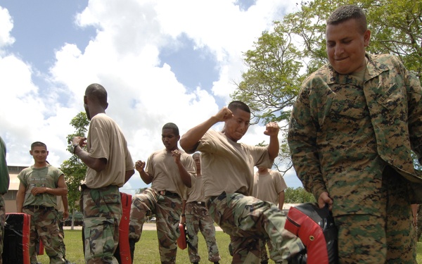 Recruits run through martial arts pad drills