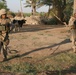 Marines keep area safe during Operation Street Sweeper II