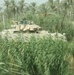 Marines, Army, Search for IEDs in Fallujah