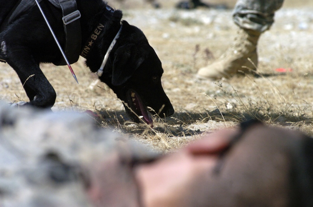 BAF MAC finds mines to keep Afghans, service members safe